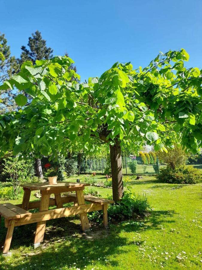 Rymanów-Zdrój Agroturystyka Stokrotka מראה חיצוני תמונה